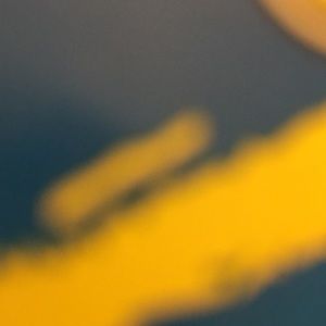 Meet your Posher, Quynh